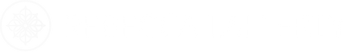 light logo